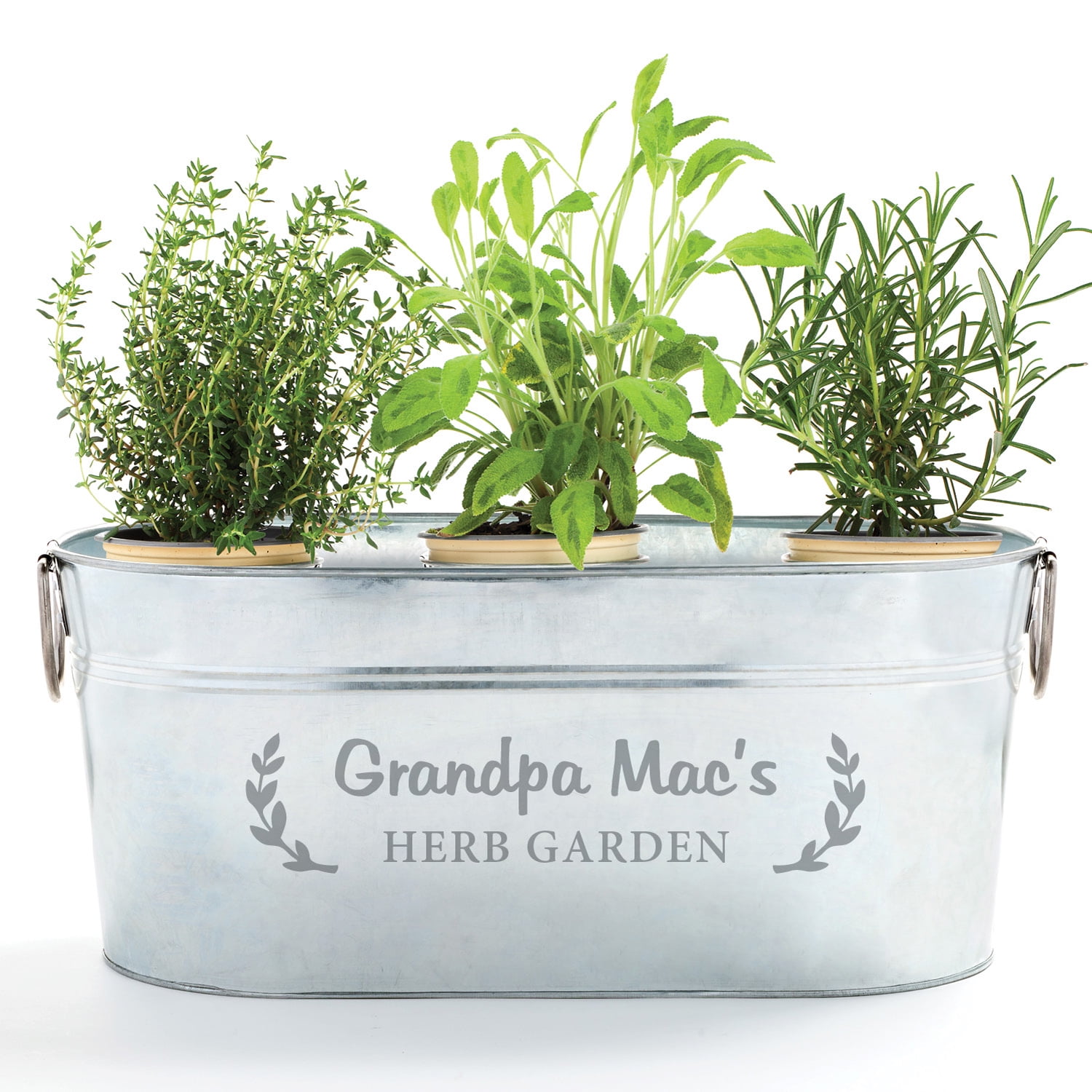 Personalized Steel Galvanized Tub For Herbs