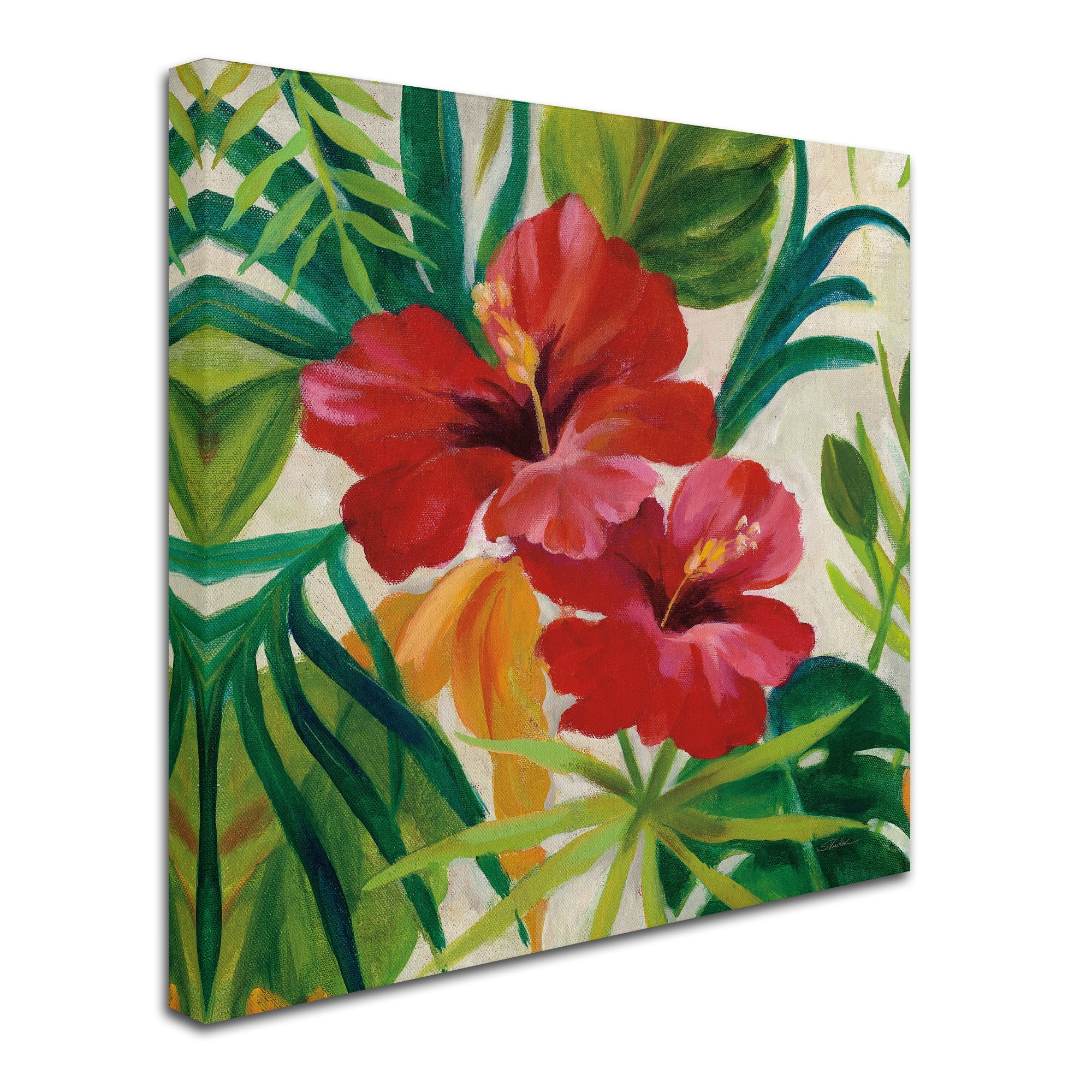 Trademark Fine Art Floral Canvas Art ' Tropical Jewels II v2 Crop ' by Silvia Vassileva