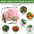 thumbnail image 6 of DONGPAI Grow Light for Indoor Plants Growing, 6000K Full Spectrum Gooseneck Plant Lamp for Seedings Succulents Small Plants, Auto On/Off Timing & 5 Dimming, 6 of 7