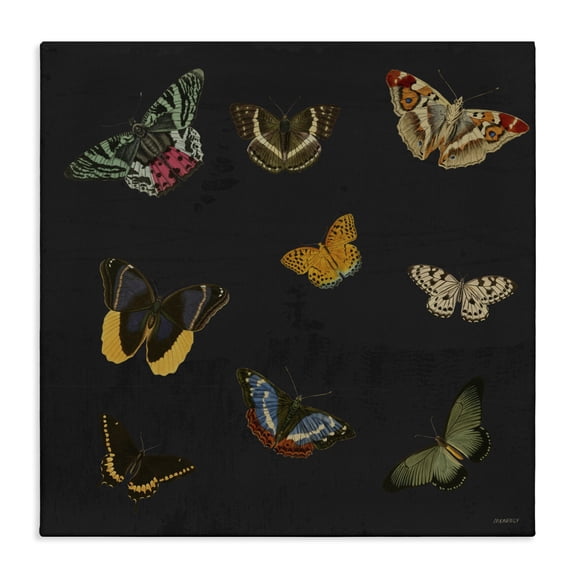 Stupell Industries Cottage Butterfly & Moth Collection Canvas Art, 17 x 17, by Dan Meneely