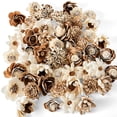 thumbnail image 1 of Sola Wood Flower Bark Assortment, 1 of 2