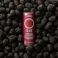 IZZE Sparkling Juice, Blackberry, 8.4 oz Cans, 24 Count