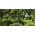 thumbnail image 4 of Rainforest Piggy Bank, Forest Waterfall River Tourist Attraction Tropical Lands Theme Exotic Print, Ceramic Coin Bank Money Box for Cash Saving, 3.6" X 3.2", Green, by Ambesonne, 4 of 4