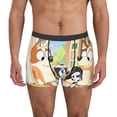 thumbnail image 3 of Lsque Bluey Pattern Men’s Total Support Pouch Boxer Briefs, X-Temp Cooling, Moisture-Wicking Underwear, Regular, Long-leg and Trunk-Small, 3 of 7