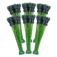 thumbnail image 1 of Paquete de 6 globos de agua Bunch O, de llenado rápido, color verde, 1 of 7