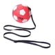 thumbnail image 3 of Balón de fútbol premium con bomba, equipo de entrenamiento para entrenador de patadas de fútbol para 20x13x11cm kusrkot Fútbol de entrenamiento para niños, 3 of 8