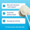 thumbnail image 3 of Vital Proteins Collagen Peptides Powder Supplement for Hair, Skin and Nails, Unflavored Collagen Support, 10 oz, 3 of 7