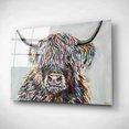thumbnail image 2 of Epic Art 'Woolly Highland II' by Carolee Vitaletti, Acrylic Glass Wall Art, 16"x12", 2 of 3