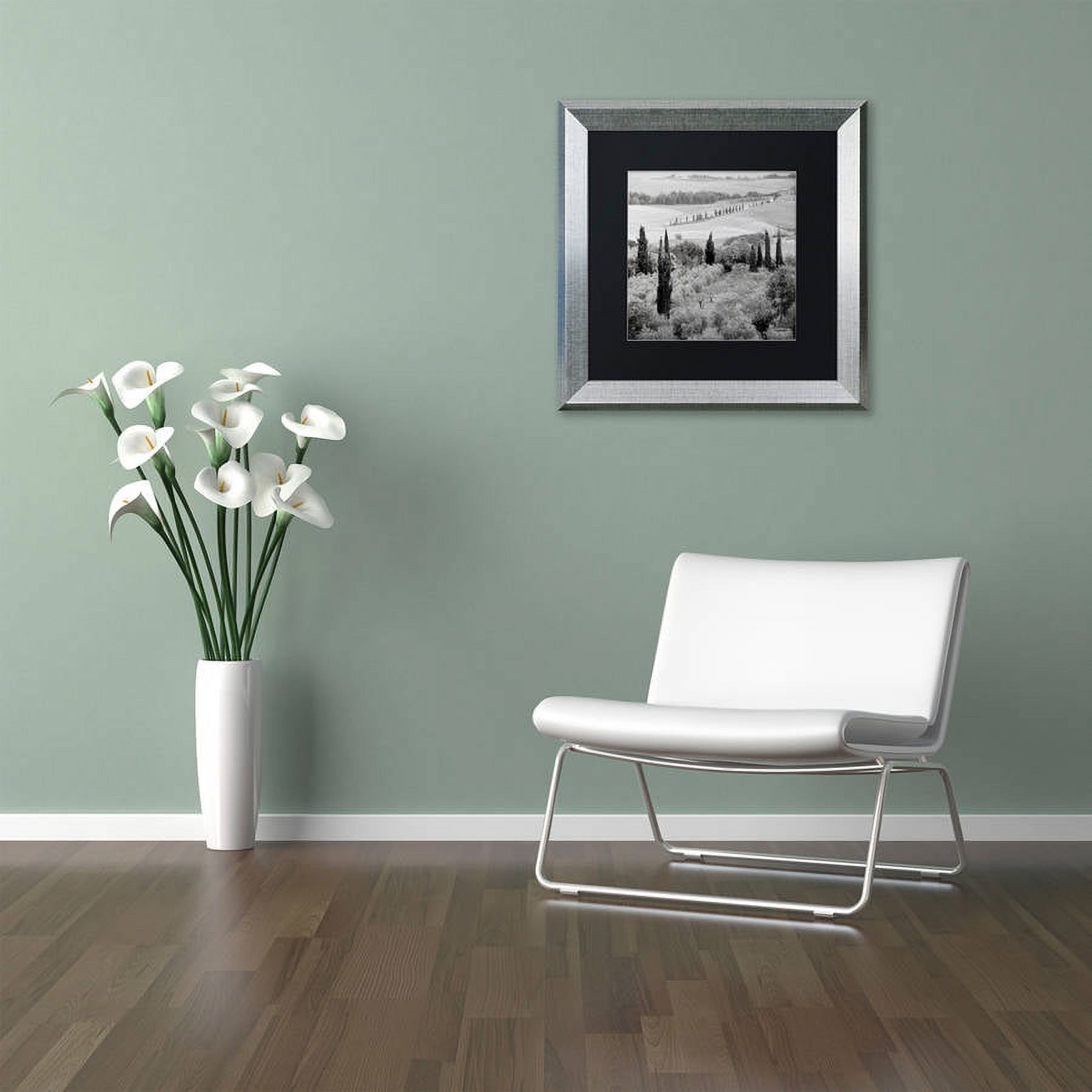 Trademark Fine Art "Tuscany X" Canvas Art by Alan Blaustein, Black Matte, Silver Frame