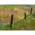 thumbnail image 2 of Gulin, Sylvia 14x12 White Modern Wood Framed Museum Art Print Titled - USA-Washington State-Palouse with wooden fence posts in grass field, 2 of 4