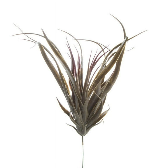 Factory Direct Craft Group of 4 Spikey Dark Green Artificial Aloe Picks