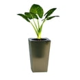 thumbnail image 4 of Large Modern Plant Pot with Drainage Holes for Indoor and Outdoor Plants Lightweight Self-Watering Planter for Home Office 27.2CM, 4 of 7