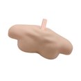 thumbnail image 4 of KAKOWELY shoulder model 1pc Universal Shoulder Model Simulated Shoulder Model Steady Head Form Rack14.96"X7.09"X6.3", 4 of 4