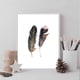 thumbnail image 5 of Wekity Feather Wall Art Canvas Print Poster, Simple Fashion Oil Painting Art Drawing Decor for Home Living Room Bedroom Office and Children's Room (Se, 5 of 5