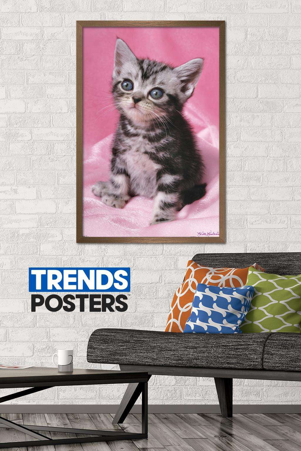 Keith Kimberlin - Kitten - Cute Wall Poster, 22.375" x 34", Framed