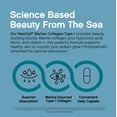 thumbnail image 5 of NeoCell Marine Collagen Peptides Supplement | 180 Caplets | with Hyaluronic Acid, 5 of 9