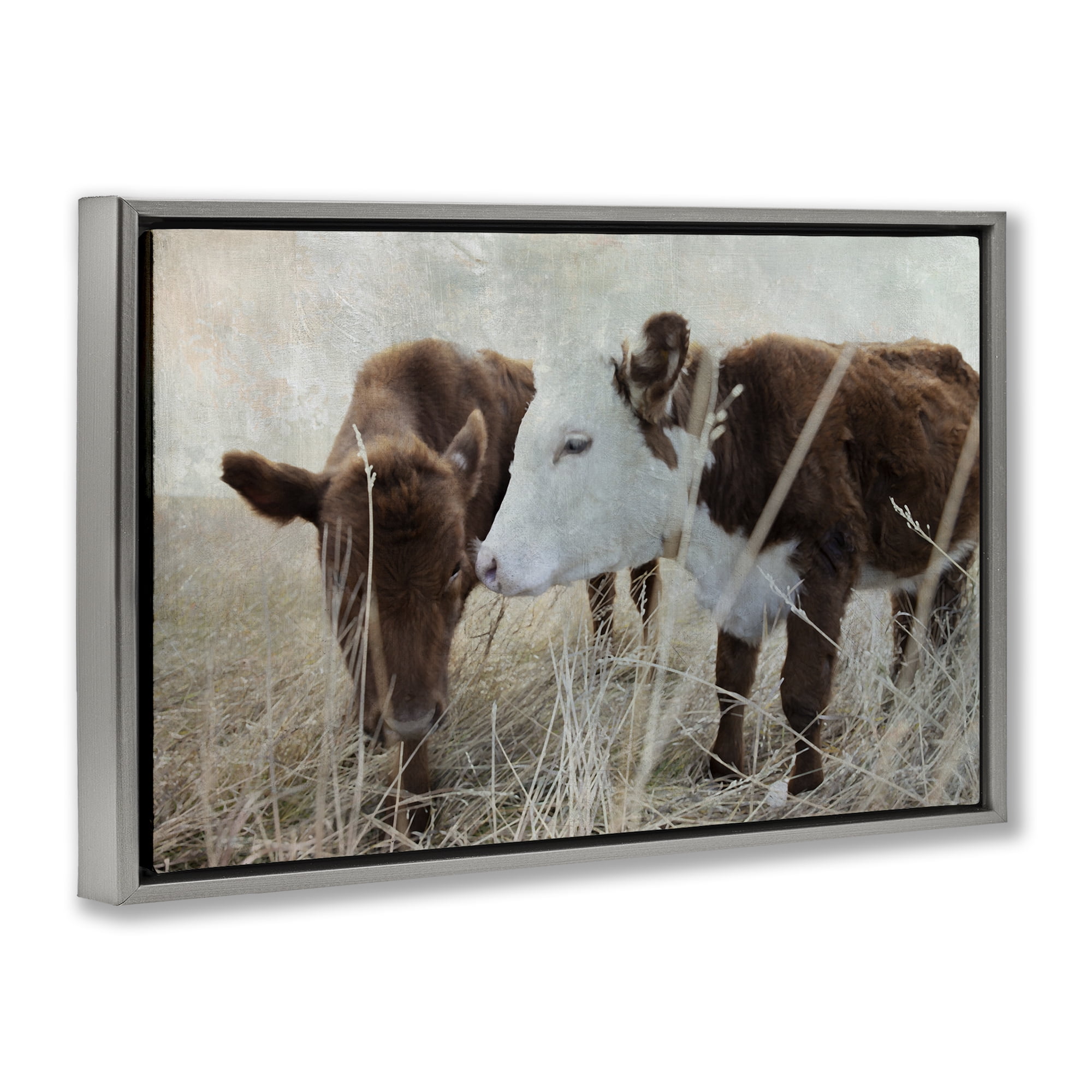Stupell Industries Baby Calf Pair in Grass Animals & Insects Photography Gray Floater Framed Canvas Art Print Wall Art, 31 x 21