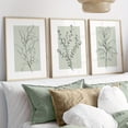 thumbnail image 2 of 3pcs Sage Green Plant Line Art Posters, Modern Minimalist Neutral Botanical Canvas Prints for Living Room Bedroom Wall Decor, Nordic Bohemian Floral Leaves Artwork, Unframed Vertical Canvas Painting, 2 of 4