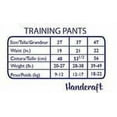 thumbnail image 2 of Sesame Street Toddler Girl's 7-Pack Elastic Waist Band Training Pants, Multicolor, 2 of 5