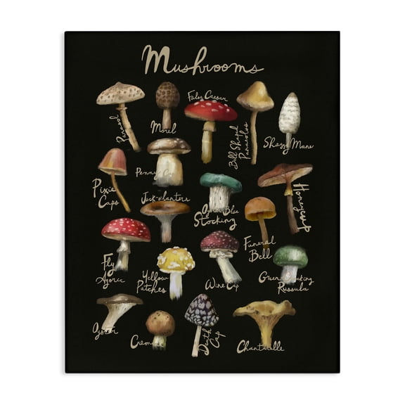 Stupell Industries Art Deco Varied Mushrooms Kitchen Chart Canvas Art, 16 x 20, by Amylee Weeks