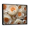 thumbnail image 2 of Designart "Radiant Ranunculus Treasure II" Ranunculus Floater Framed Canvas Wall Art, 2 of 5
