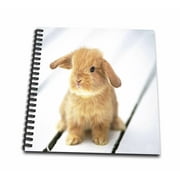 3dRose Adorable Barbara Bunny Rabbit - Mini Notepad, 4 by 4-inch
