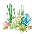 thumbnail image 3 of Nan 12x12 Black Modern Framed Museum Art Print Titled - Cactus Vignette I, 3 of 5
