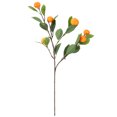 thumbnail image 2 of Ramas Artificiales de Mandarina Modelo de Fruta Realista de Alta Simulación para Jarrón Decoración de Fiesta en Casa ANGGREK Otros, 2 of 8