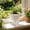 C, variant on Watering Orchid Pot, 8 Inch Clear Breathable Plastic Planter with Water Reservoir for Indoor Phalaenopsis Plants Root Control Pot