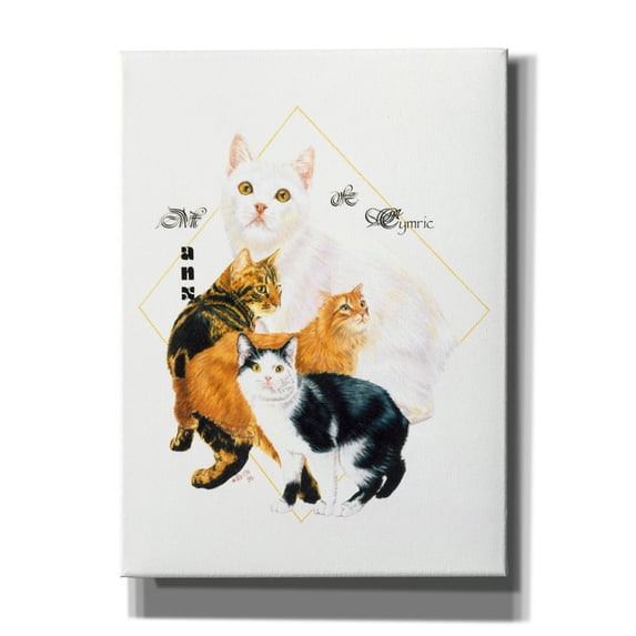 Epic Graffiti 'Cymric And Manx' by Barbara Keith, Canvas Wall Art, 40"x54"