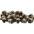 thumbnail image 1 of 20Pcs Mini Skull Model Creative Halloween Mini Skull Heads Flower Pot Decoration, 1 of 10