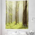 thumbnail image 1 of Spring Tapestry, Misty Springtime Beech Forest Photo Taken in the Mountains of Central Europe, Fabric Wall Hanging Decor for Bedroom Living Room Dorm, 5 Sizes, Brown Green, by Ambesonne, 1 of 1