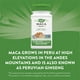thumbnail image 4 of Nature's Way | Maca Root, 100 Cápsulas, Apoyo al Libido, 4 of 4