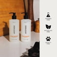 thumbnail image 5 of Suero concentrado MD Complete Retinol Vitamina C | Suero antienvejecimiento de vitamina C de alta potencia | con Retinol Vitaminas C y E Omega 3-6 y 9 Extractos de semillas de frutas 0.5 fl oz, 5 of 5