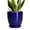 Glossy Blue, variant on 12 Inch Large Black Planter for Outdoor Halloween Decorations, Tall Matte Black Ceramic Pot with Tray for Porch, Spooky Flower Pot