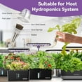 thumbnail image 6 of inbloom Lettuce Seed Pod Kit for for AeroGarden, Ahopegarden Hydroponics Growing System, 12-Pods (350+ SeedsInclude Fast Lettuce, Parris Island Lettuce, Butter Lettuce, and Red Romaine Lettuce), 6 of 7