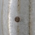 thumbnail image 6 of 22.5x22.5x26" Drum Side Table, 6 of 9