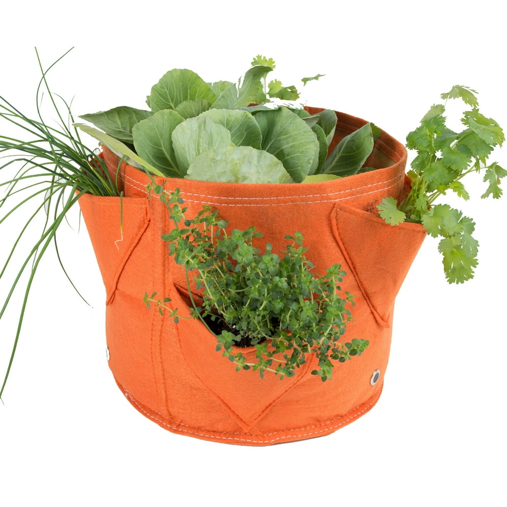 BloemBagz Big Herb Planter Grow Bag 5 Gallon Tequila