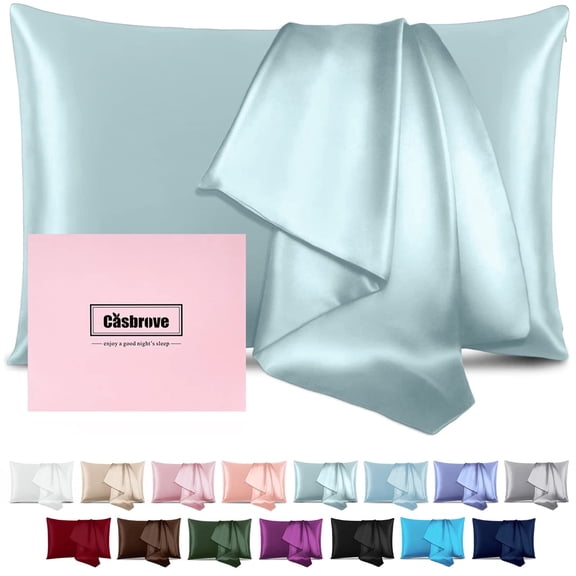 Silk Pillow Cases for Hair and Skin Mulberry Silk Pillowcase Soft Breathable Both Sided Natural Silk Pillowcase with Zipper Beauty Sleep Pillow Cases 1 Pack for Gift (Standard, Haze Blue)