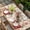 FireBrick Wheat, variant on Christmas Table Cloths for 5 Foot Rectangle Tables, Winter Xmas Snowman Sugar Ice Cream Vintage Patio Waterproof Elastic Fitted Tablecloths, Washable Rectangular Table Cover for Camping