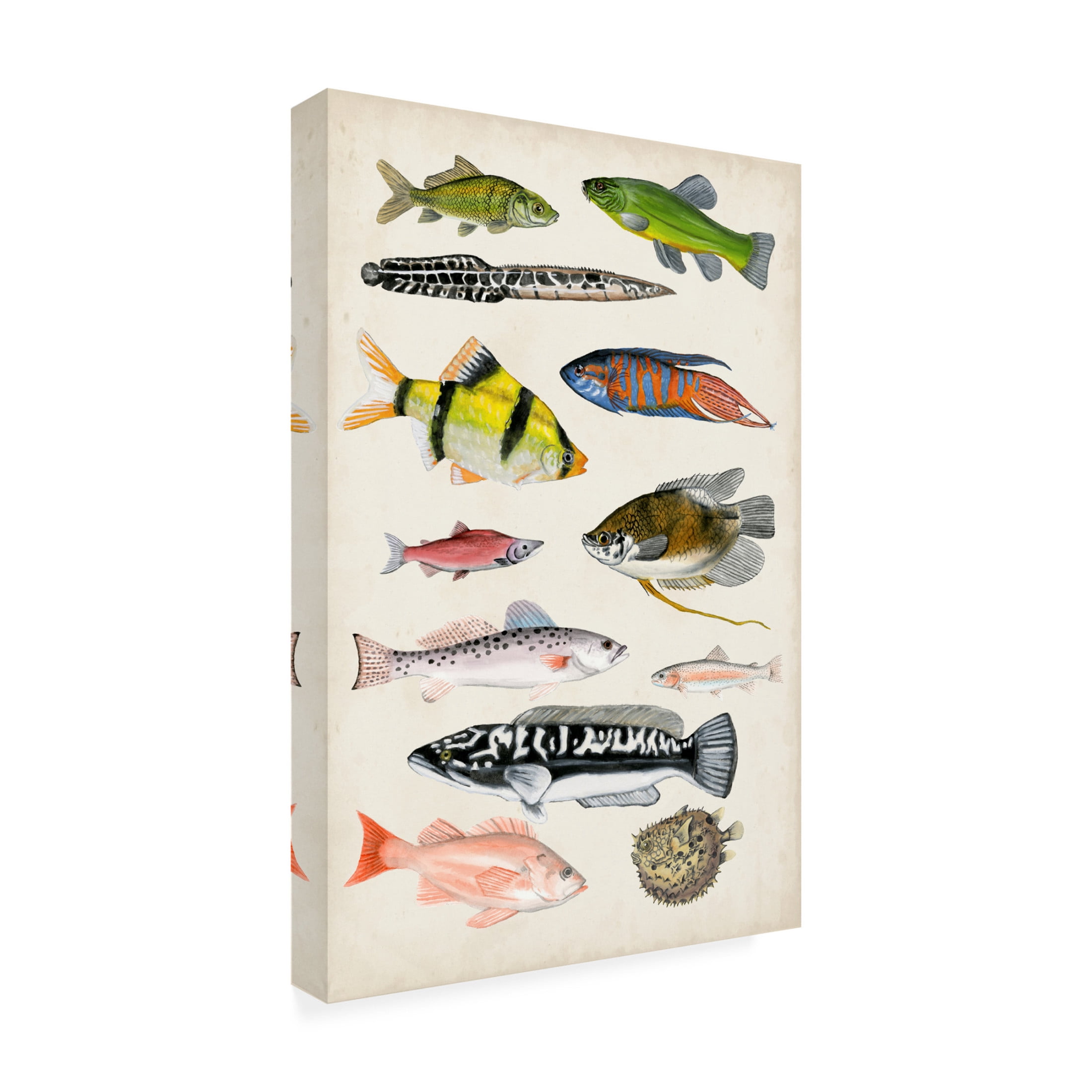 Canvas Wall Art - Naomi McCavitt 'Antique Aquarium I' Wall Art for Living Room, Bedroom, or Office Décor by Trademark Fine Art - 22 x 32 Inches