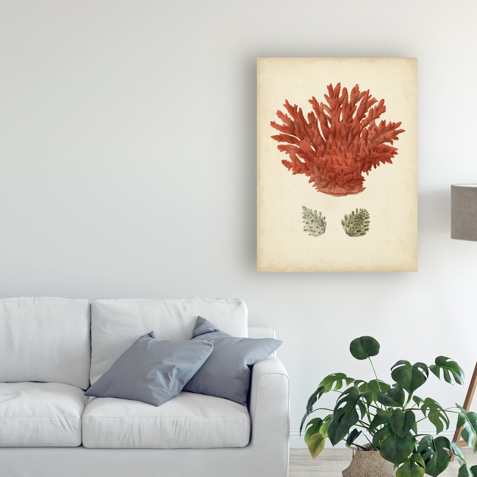 Antique Red Coral III' Canvas Art by Vision Studio