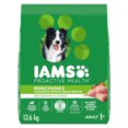 thumbnail image 1 of Iams Minichunks Adult Dry Dog Food Chicken & Whole Grains Recipe 14kg, 1 of 18