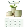thumbnail image 5 of BEMAY Set of 3 Ceramic Plant Pots, 5.7" & 6.9"& 8.3" Indoor Plant Pots with Drainage Holes, Mesh Pads and Silicone Plugs, Sage Green Indoor Planters, 5 of 7
