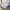 Purple White, variant on Erosebridal Purple Butterfly Quilt Sets for Twin Size Bed,Floral Flower Bed Set,Lightweight Bedroom Set,Dreamy Room Decorative,2-Piece