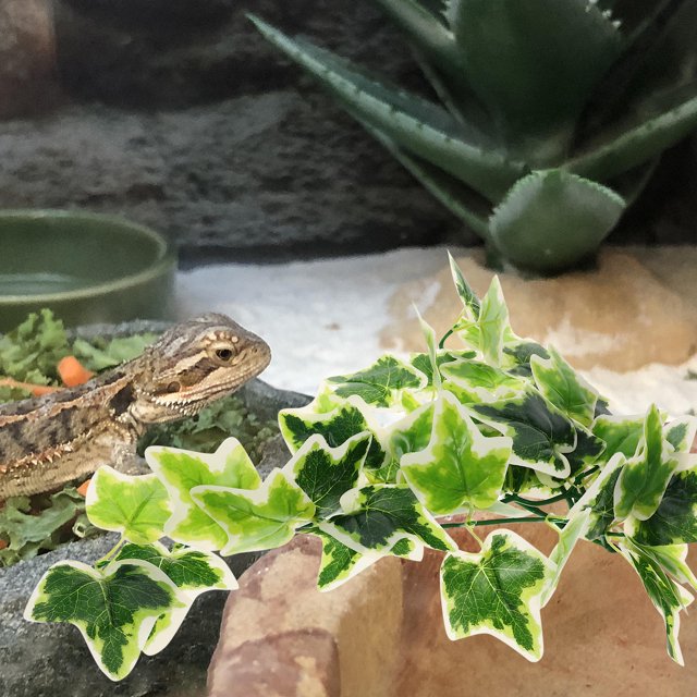 FESTFENDS Planta Colgante Artificial Para Terrarios Con Ventosa Fácil De Instalar Y Decorativa
