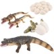 thumbnail image 1 of Juego de juguetes de crecimiento de cocodrilo, animales de simulación, figuras de huevos a animales, juguete, figuras de ciclo de crecimiento de cocodrilo, modelo, juguetes de aprendizaje temprano, 1 of 1