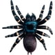 thumbnail image 1 of Araña realista gigante, araña falsa, modelo de acción de araña, figuras de juguete de insectos realistas, accesorios de broma de Halloween, suministros para fiestas, 1 of 5