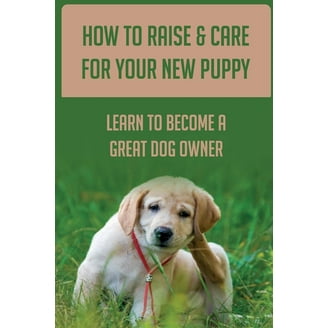 Get To Know Rottweiler Puppies: Tips For Raising A Rottweiler Dog