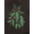 thumbnail image 2 of Norkus, Julie 15x18 Gold Ornate Wood Framed with Double Matting Museum Art Print Titled - Oak and Acorn, 2 of 4